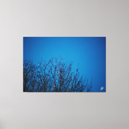 Langley an der Küste #8 Leinwanddruck