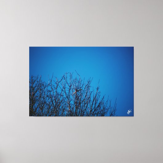 Langley an der Küste #8 Leinwanddruck (Vorderseite)