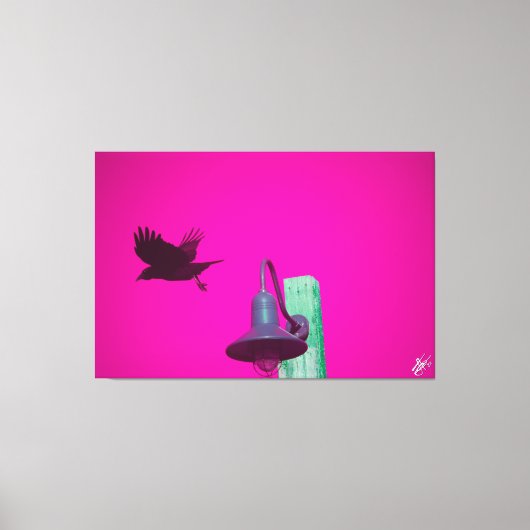 Langley Crow auf der Light Post Series #12 Leinwanddruck (Vorderseite)