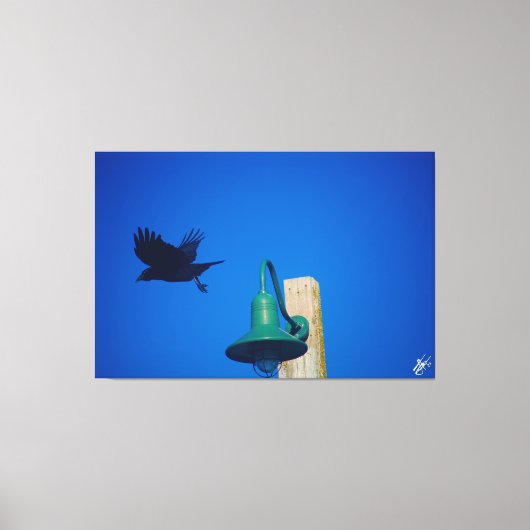 Langley Crow auf der Light Post Series #3 Leinwanddruck (Vorderseite)