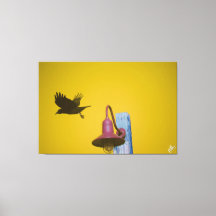 Langley Crow auf der Light Post Series #4