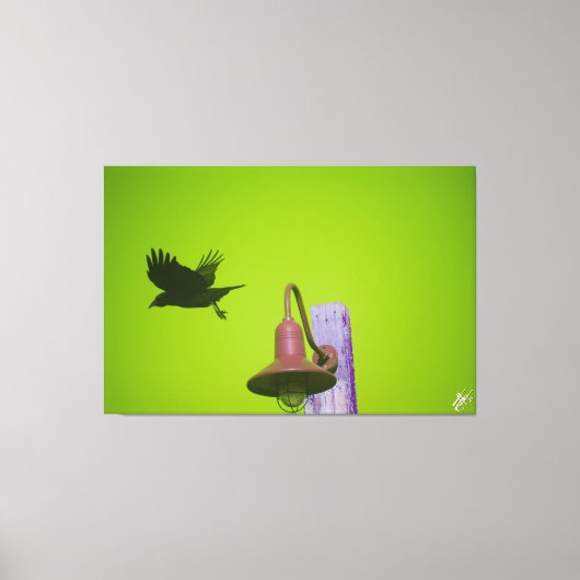 Langley Crow auf der Light Post Series #5 Leinwanddruck (Vorderseite)