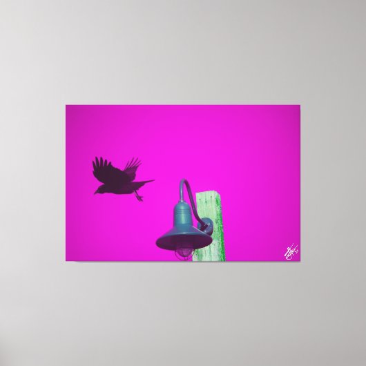 Langley Crow auf der Light Post Series #8 Leinwanddruck (Vorderseite)