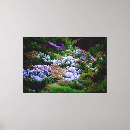 Langley-Küste #5 Leinwanddruck (Vorderseite)