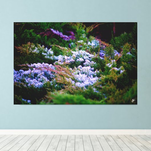 Langley-Küste #5 Leinwanddruck (Insitu (Holzboden))