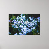 Langley Waterfront #11 Leinwanddruck (Vorderseite)