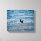 Langley Waterfront Two Birds Ripple Fotografie Leinwanddruck (Vorderseite)