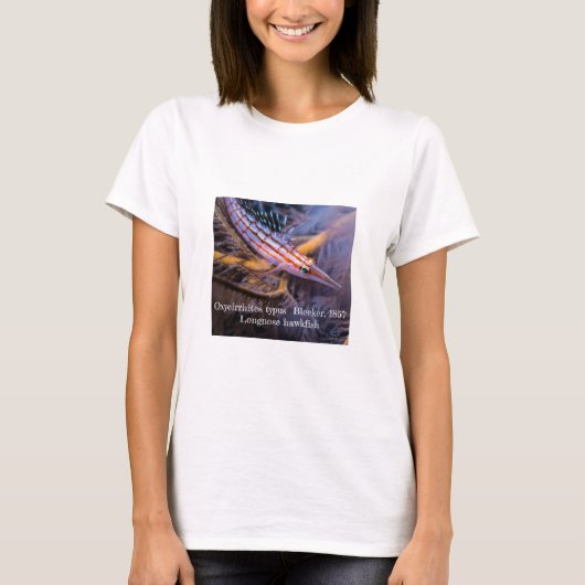 Langnasen-Falken T-Shirt (Vorderseite)