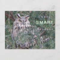 Langohreule Gratulations-Postkarte
