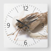 Langoustine Quadratische Wanduhr (Vorderseite)