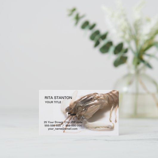 Langoustine Visitenkarte (Stehend Vorderseite)