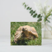 Langsam, aber stetig postkarte (Stehend Vorderseite)