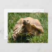 Langsam, aber stetig postkarte (Vorne/Hinten)