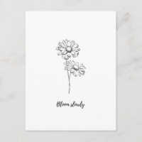 Langsam Blühen Minimale Gänseblümchen Blumen Aufkl