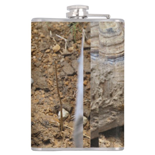 langsam flachmann (Rückseite)