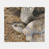 langsam fleecedecke (Vorderseite (Horizontal))