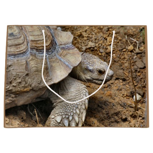 langsam große geschenktüte (Vorderseite)