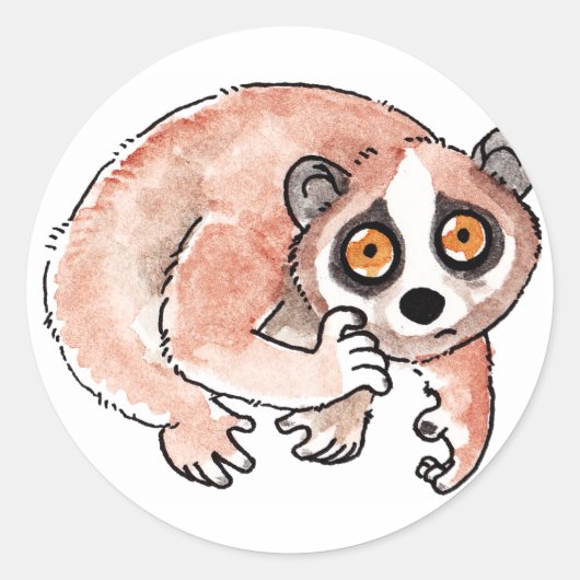 Langsam Loris Stickers (Vorderseite)