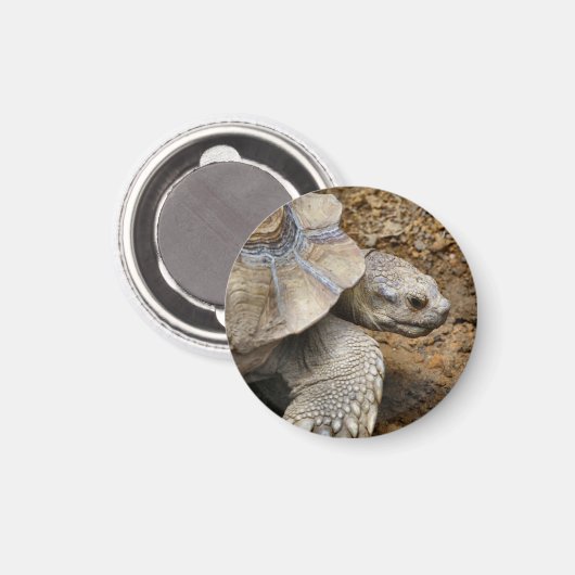 langsam magnet (Vorderseite/Rückseite)