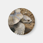 langsam magnet (Vorne)