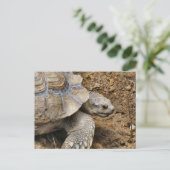 langsam postkarte (Stehend Vorderseite)