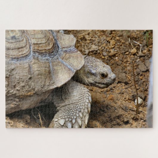 langsam puzzle (Horizontal)