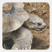 langsam quadratischer aufkleber (Vorderseite)