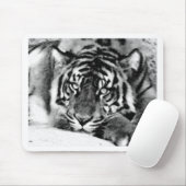 Langsam sein mousepad (Mit Mouse)