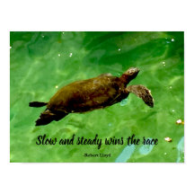 Langsam und beständig gewinnt das Rennen