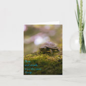 Langsam und stetig gewinnt das Rennen - Aesop Karte (Vorderseite)