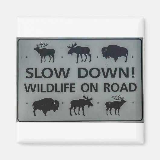 Langsam! Wildnis auf der Straße Magnet (Vorne)