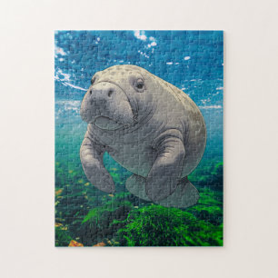 Langsame Abnahme und Drift für Inspiriert Manatee Puzzle