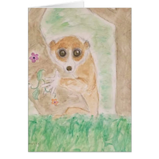 langsame loris