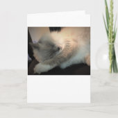 Langsame Tage, Karte (Vorderseite)