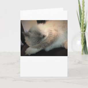 Langsame Tage, Karte