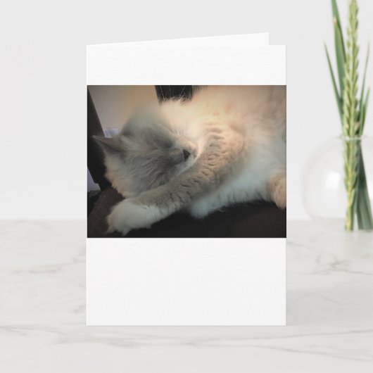 Langsame Tage, Karte (Vorderseite)