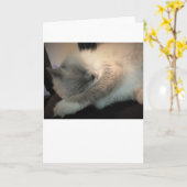 Langsame Tage, Karte (Gelbe Blume)