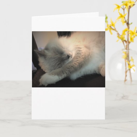 Langsame Tage, Karte (Gelbe Blume)