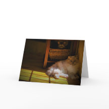 Langsame Tage, Karte