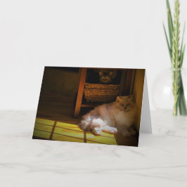 Langsame Tage, Karte