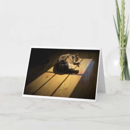 Langsame Tage, Karte (Vorderseite)