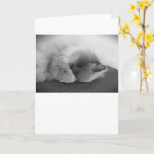 Langsame Tage, Karte (Gelbe Blume)