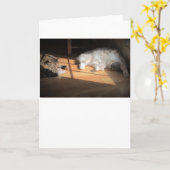 Langsame Tage, Karte (Gelbe Blume)