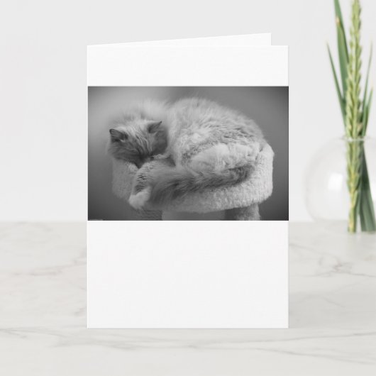 Langsame Tage, Karte (Vorderseite)