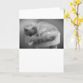 Langsame Tage, Karte (Gelbe Blume)