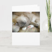 Langsame Tage, Karte (Vorderseite)