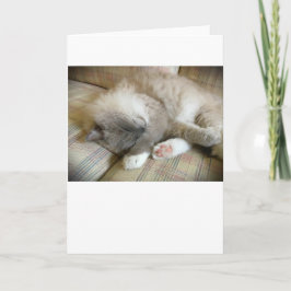 Langsame Tage, Karte