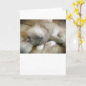 Langsame Tage, Karte (Gelbe Blume)