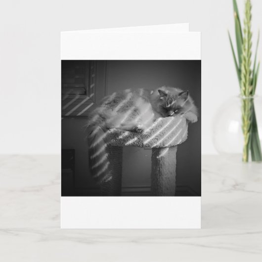 Langsame Tage, Karte (Vorderseite)