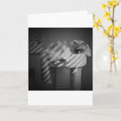 Langsame Tage, Karte (Gelbe Blume)